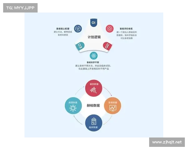 全面深入探索五大联赛独特魅力与多维核心竞争优势的体系全景解读